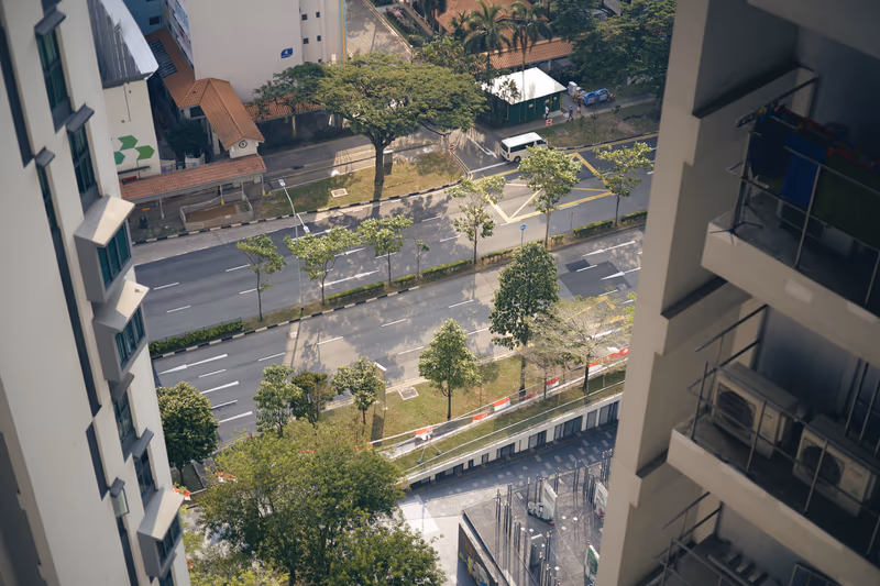 俯瞰两侧高楼间的公路，绿树与光影交织
