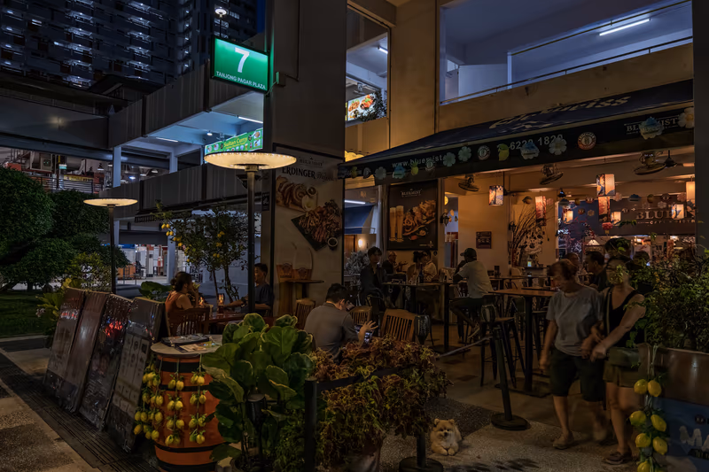 夜幕下丹戎巴葛广场的户外食客与陪伴的小狗