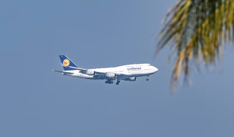汉莎 747-400 D-ABTL 飞过，椰树叶虚化在侧