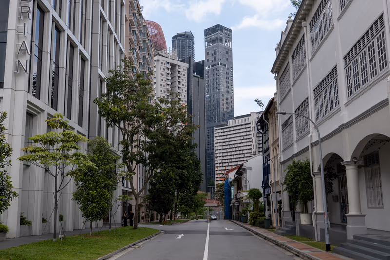 绿荫街道旁，现代建筑与传统风貌和谐并存