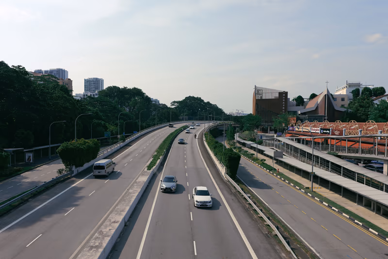 明媚阳光下的高速公路，车辆穿行于绿树之间