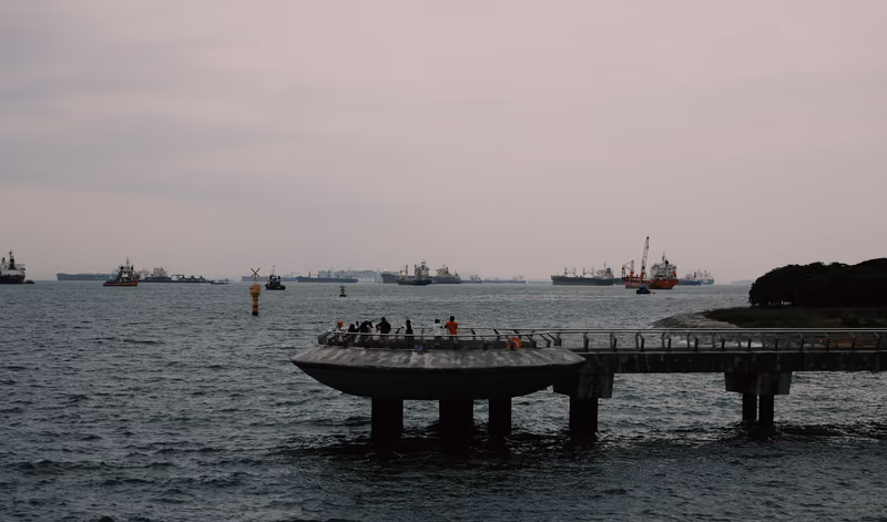 码头上的游客与海面船队