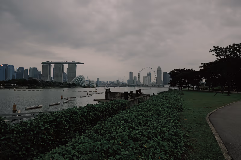 以绿植和水面为前景的城市天际线